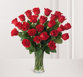 dozen red roses in simple vase